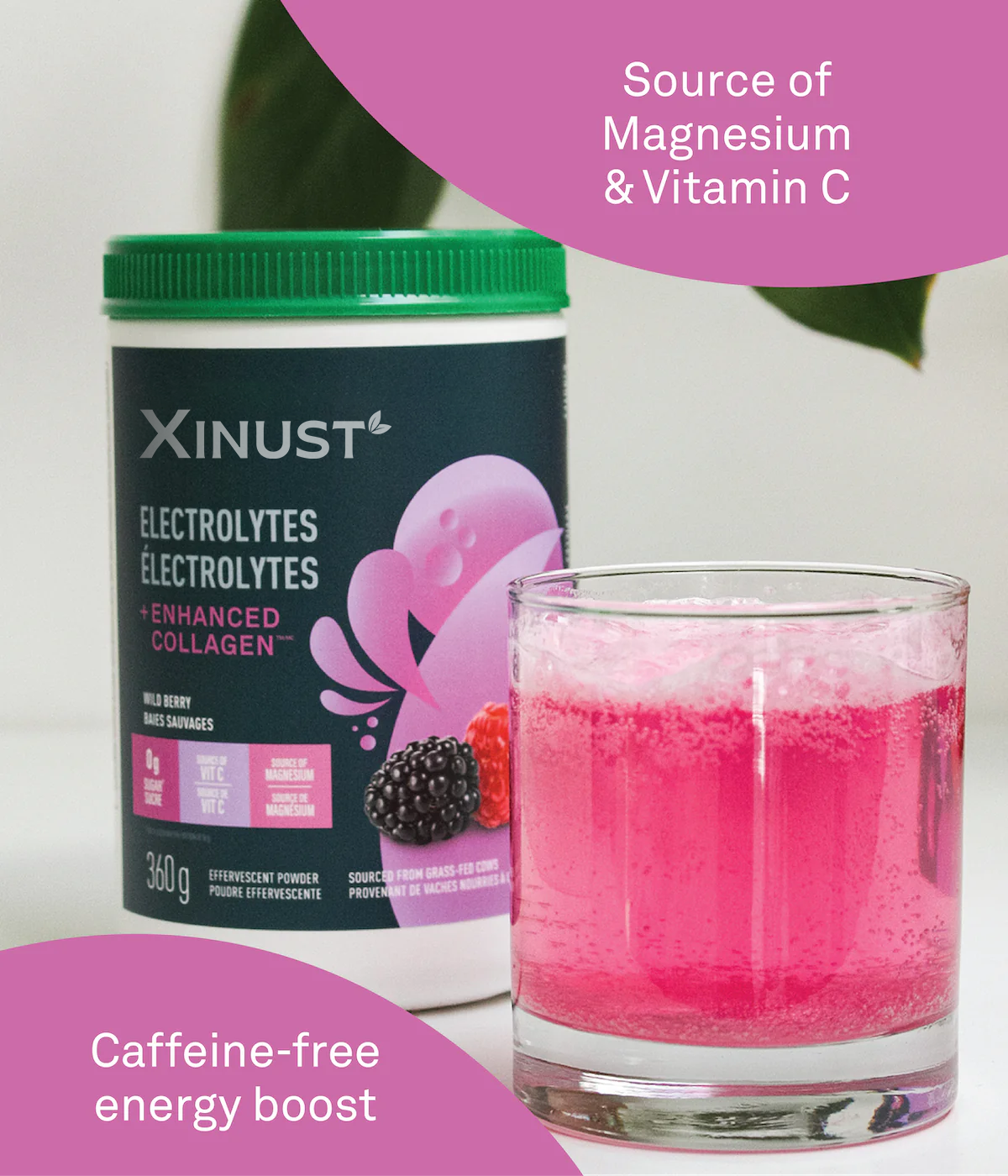 Xinust Electrolytes + Enhanced Collagen - Wild Berry